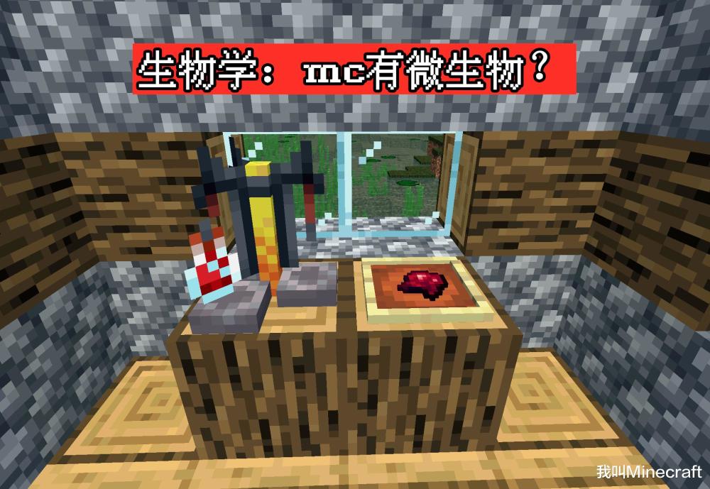 我的世界手机版蜘蛛眼纸牌游戏手机单机版免费